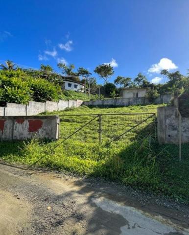 Mason Hall LAND FOR SALE