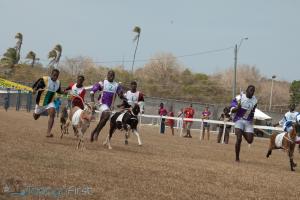 BUCCOO GOAT & CRAB RACE FESTIVAL 2026