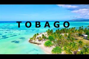 Preview image for the video "TOBAGO: TRAVEL GUIDE Trinidad & Tobago - ALL top sights in 4K + Drone".